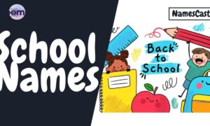 540 Inspiring School Name Ideas for Educational Institution