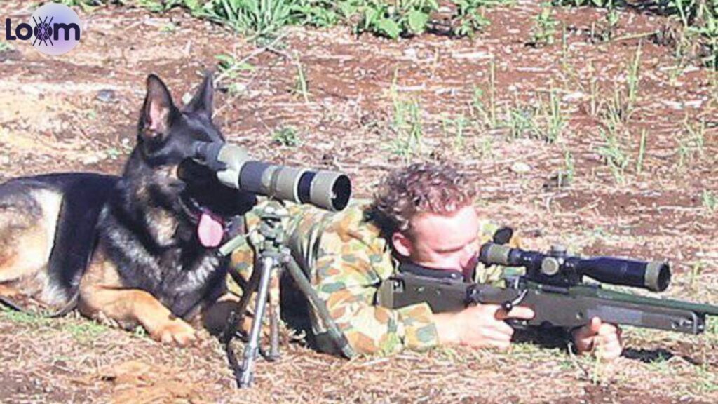 Funny Military Team Names