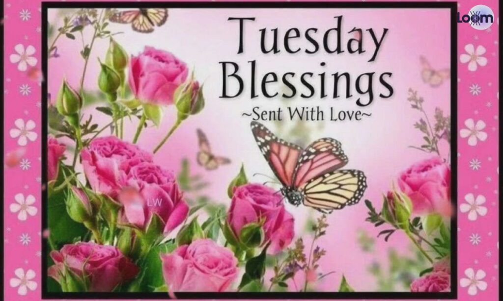 Tuesday Morning Blessings